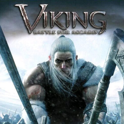 Viking: Battle for Asgard Steam CD Key