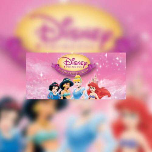 Disney Princess: Enchanted Journey Steam CD Key