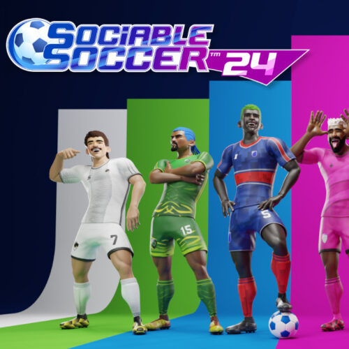 Sociable Soccer 24 Steam CD Key