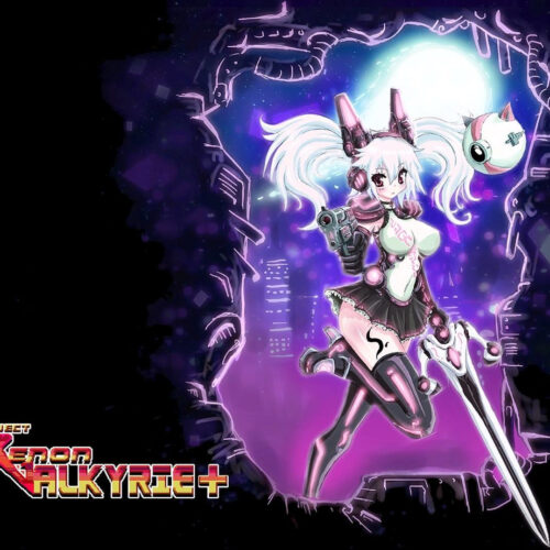 Xenon Valkyrie Steam CD Key