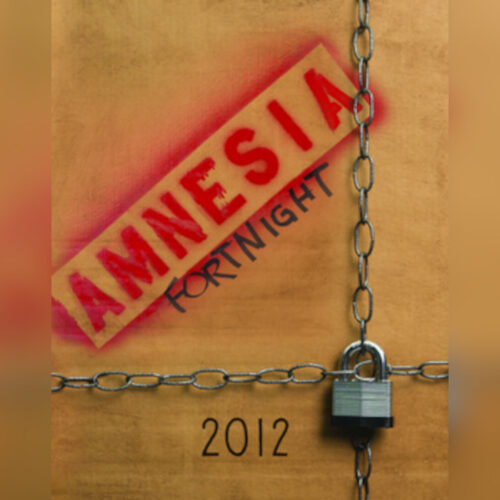 Amnesia Fortnight 2012 Steam CD Key