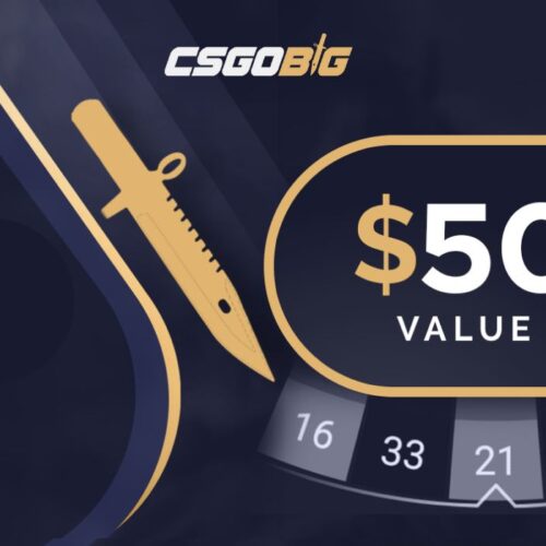 כרטיס מתנה CSGOBIG $50