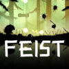 מפתח תקליטור Feist Steam