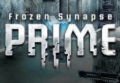 מתנת Synapse Prime Steam קפואה