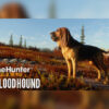 theHunter: Call of the Wild - Bloodhound DLC Steam CD Key