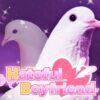 Hatoful Boyfriend Collector's Edition מפתח תקליטור אדים