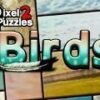 פאזלים של פיקסלים 2: מפתח תקליטור STEAM ציפורים