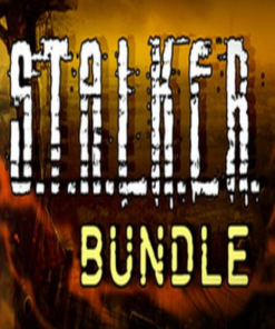 S.T.A.L.K.E.R.: Bundle Steam Key GLOBAL