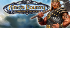 King's Bounty: לוחמי מפתח הSTEAM הצפוני גלובל