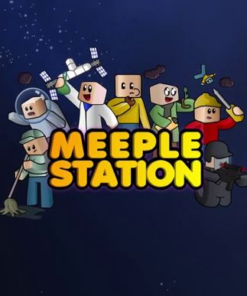 תחנת Meeple מפתח STEAM גלובלי