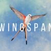 Wingspan Steam CD Key