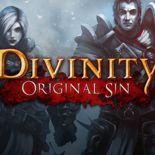 Divinity: Original Sin - Source Hunter DLC Steam CD Key
