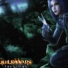 Guild Wars Factions Digital Download CD Key