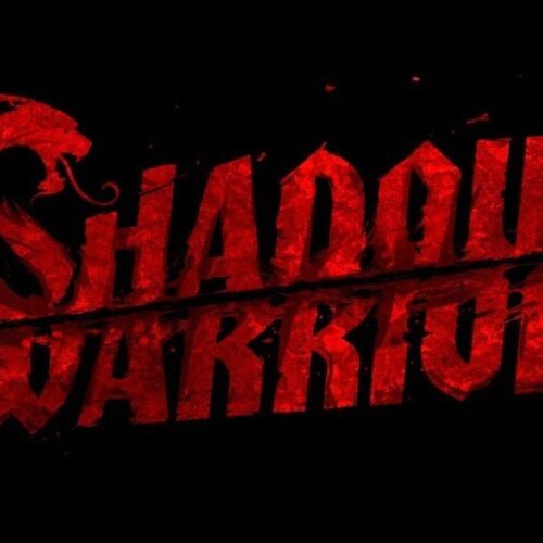 Shadow Warrior Special Edition EU Steam CD Key