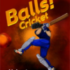 Balls! Virtual Reality Cricket Steam Key GLOBAL
